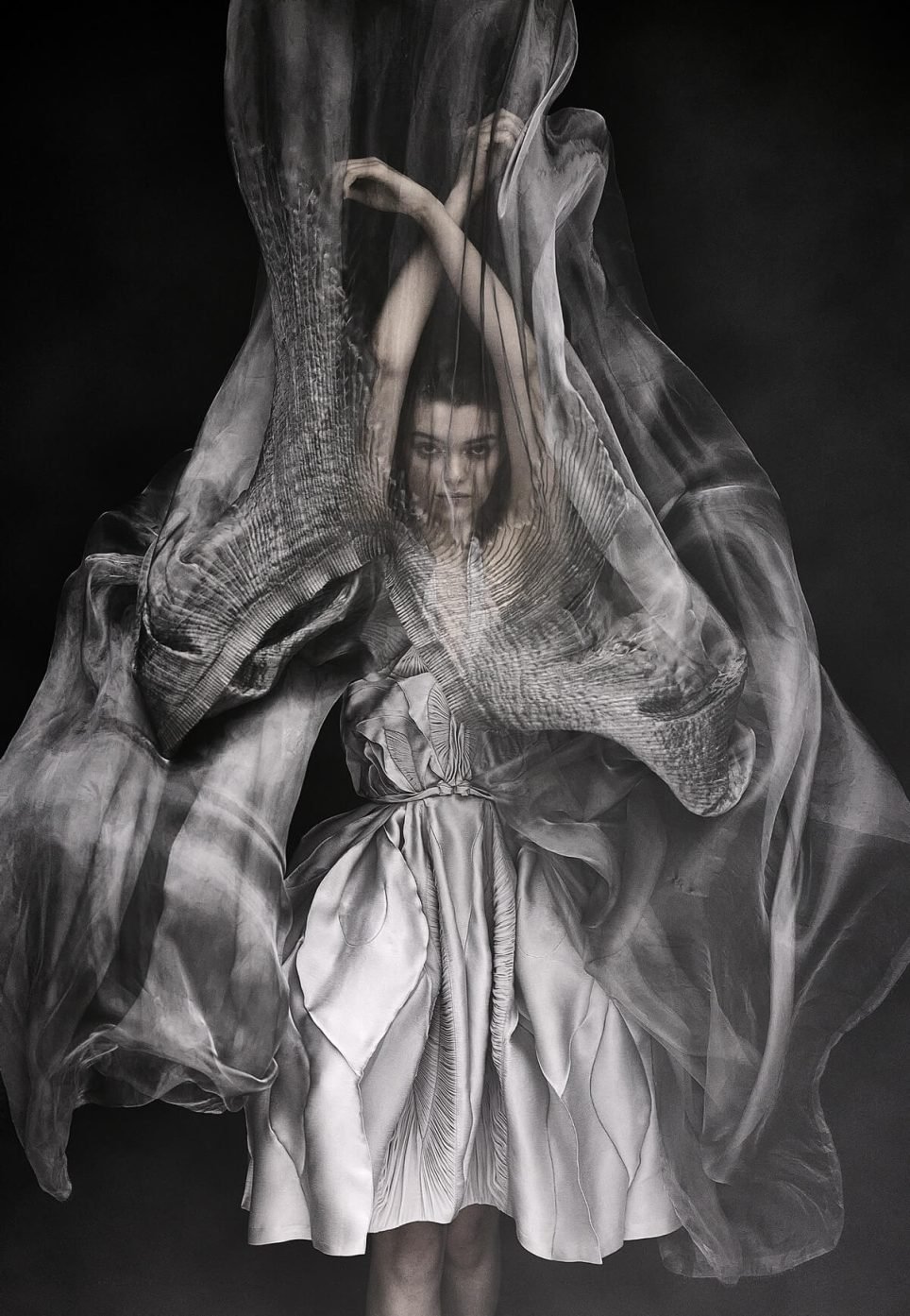 Robe Orchidée, collection haute couture automne-hiver 2012 Spring of Nüwa