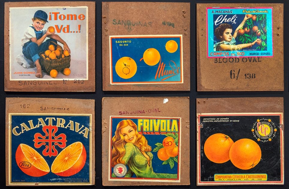 Étiquette de fruits. Exposition Superbemarché. Papiers d’agrumes & Co au MIAM de Sète